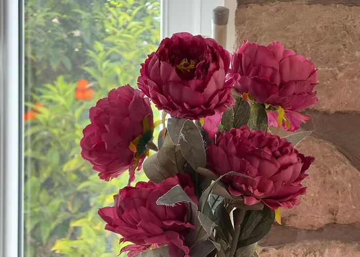 Naval * דוברובניק